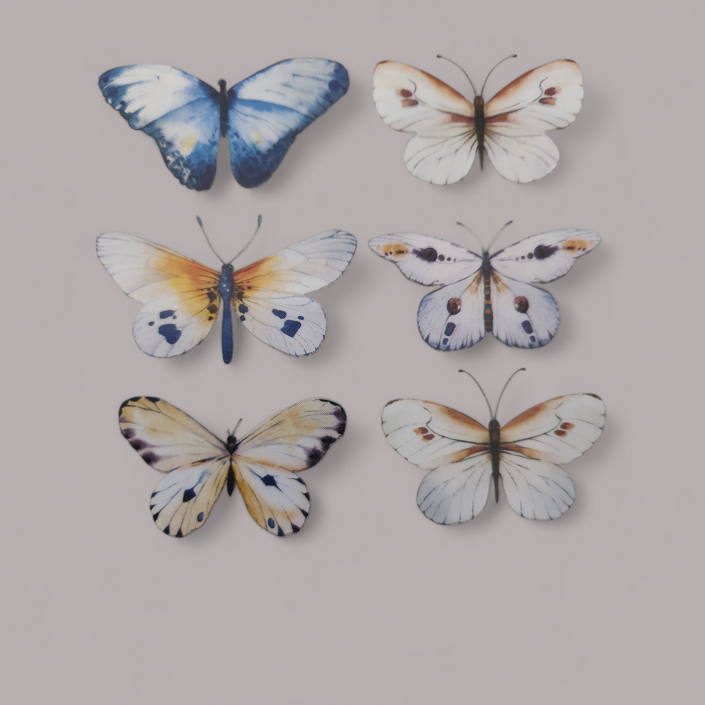 (19) Siebdruck-Bügelbild 11x13cm 6x Schmetterling klein