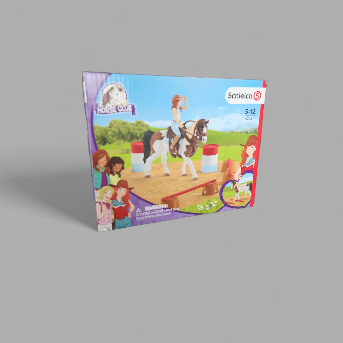 Schleich Horse Club 42441