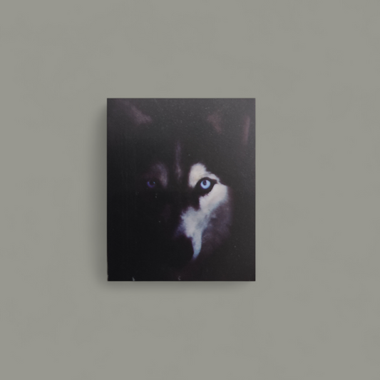 (4) Diamond-Painting Husky im Dunkeln (50x40cm) full