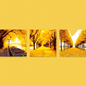 (4) Diamond-Painting Herbst 3 Rahmen (130×50cm) full