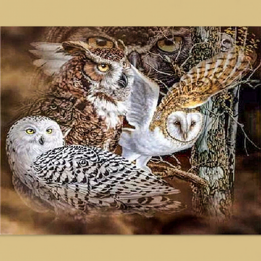 (3) Diamond-Painting Eulen (40×30cm) full