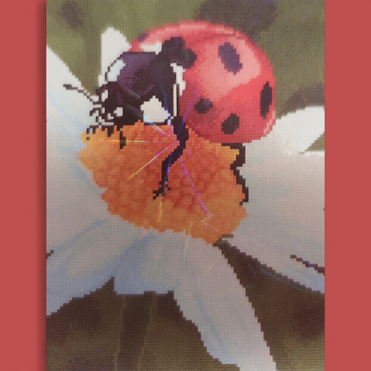 (10) Diamond-Painting Marienkäfer (30×40cm) full