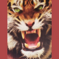 (37) Diamond-Painting Wütender Tiger (40×50cm) full