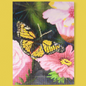 (16) Diamond-Painting Schmetterling (30×40cm) full