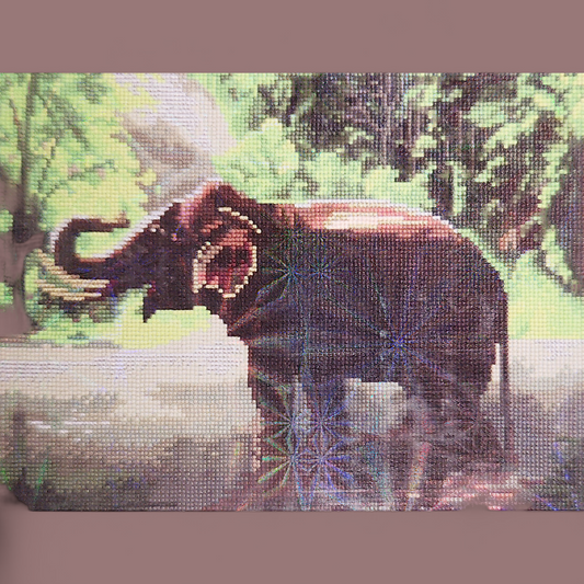 (18) Diamond-Painting Elefant (40×30cm) full
