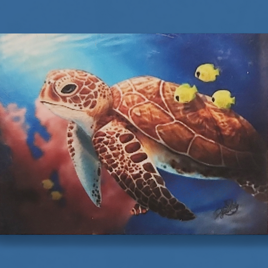 (62) Diamond-Painting Schildkröte (30×40cm) full
