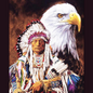 (118) Diamond-Painting Indianer und Weisskopfseeadler (40x50cm) full